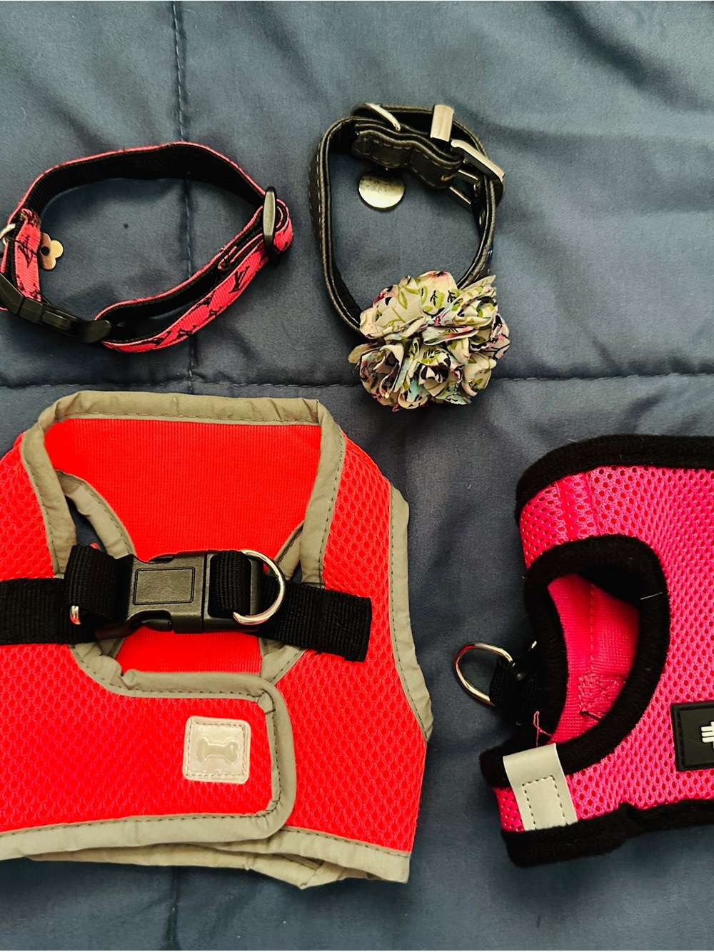 Dog harnesses and collar set